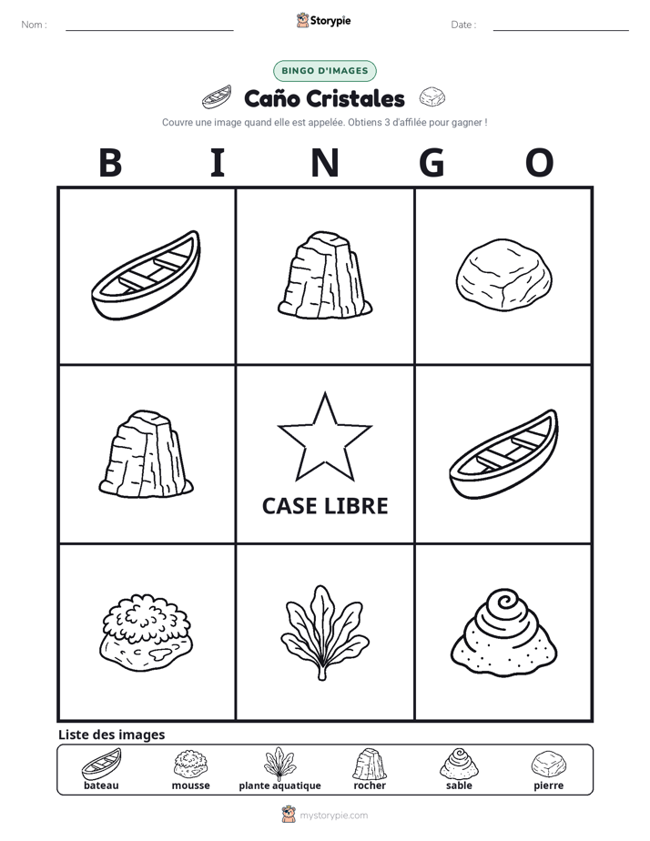 Bingo d'Images