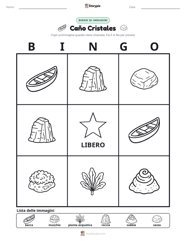 Bingo delle Immagini