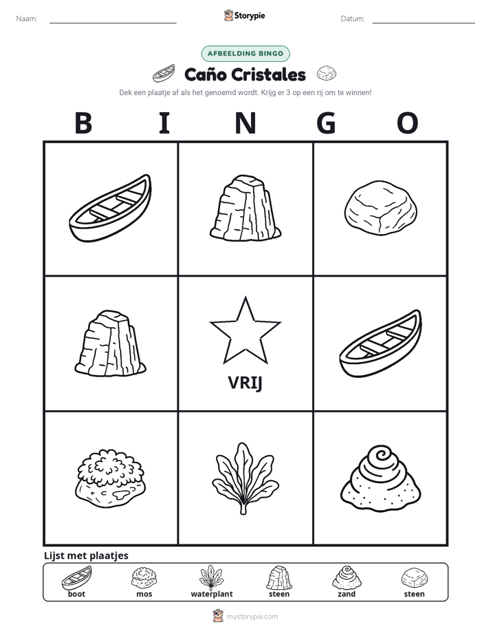 Afbeelding Bingo