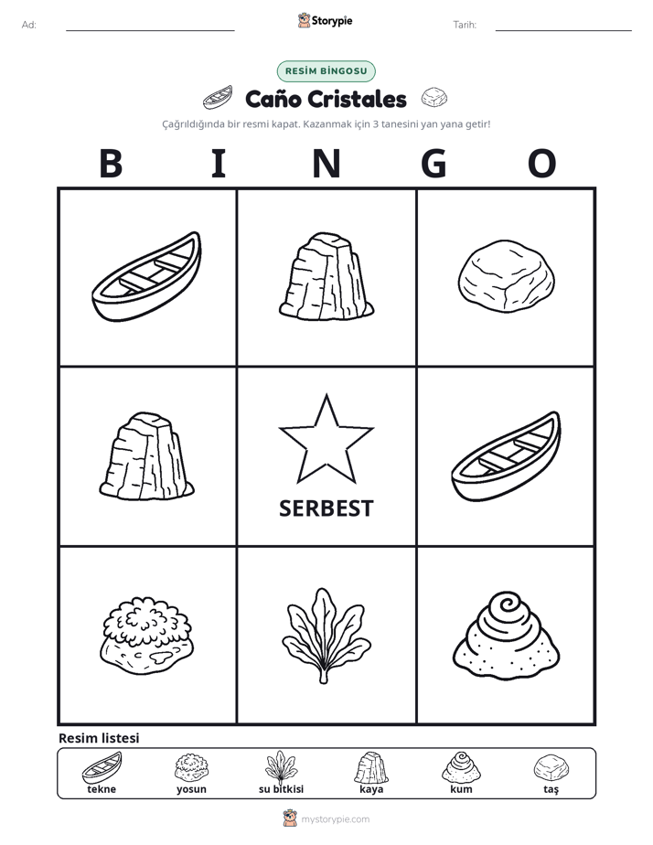 Resim Bingo
