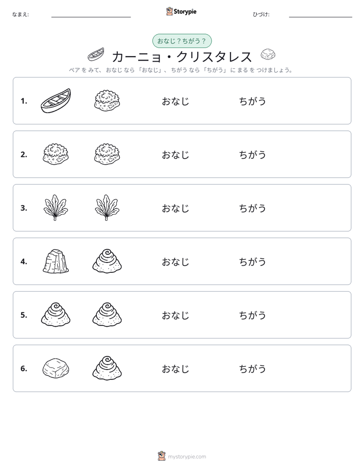 同じか違うか