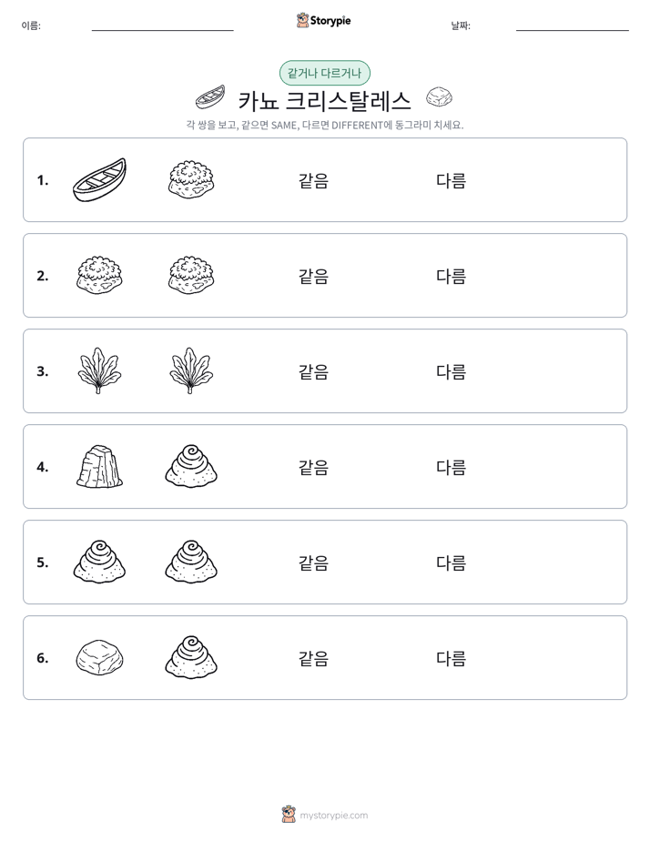 같은 것 또는 다른 것