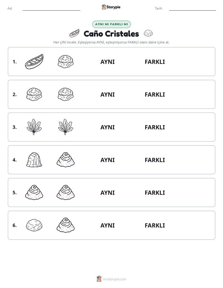 Aynı mı Farklı mı
