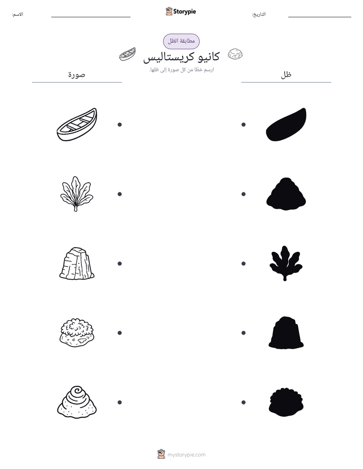 مطابقة الظل