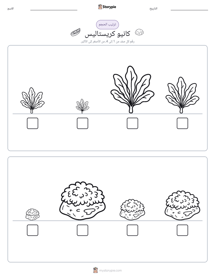 ترتيب الحجم