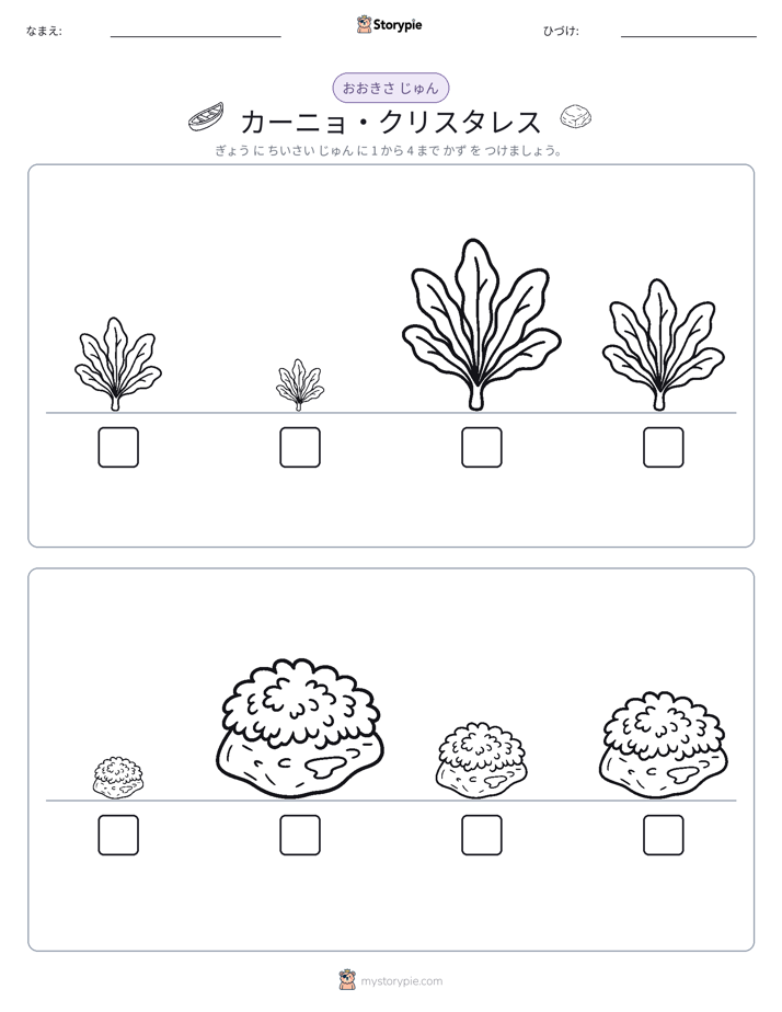 サイズ順