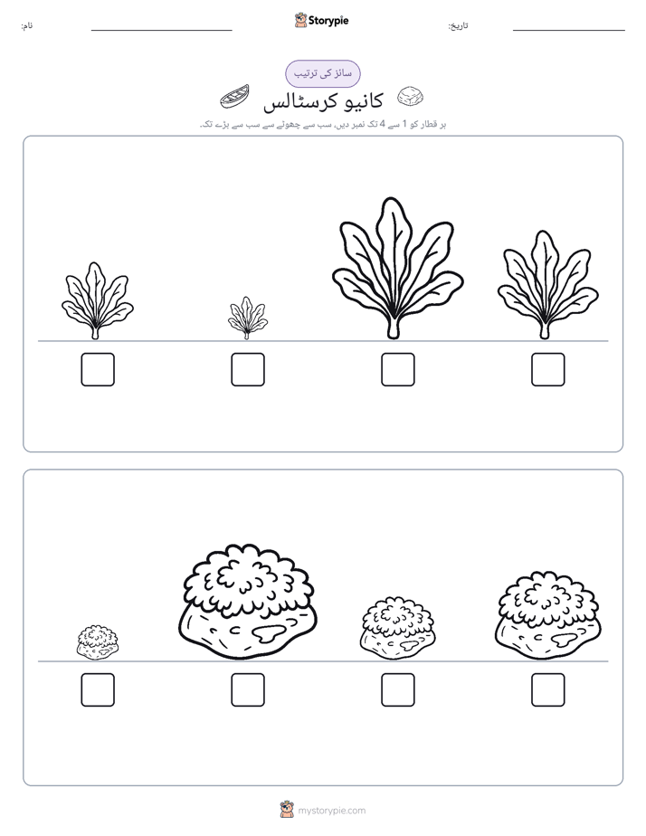 سائز کی ترتیب
