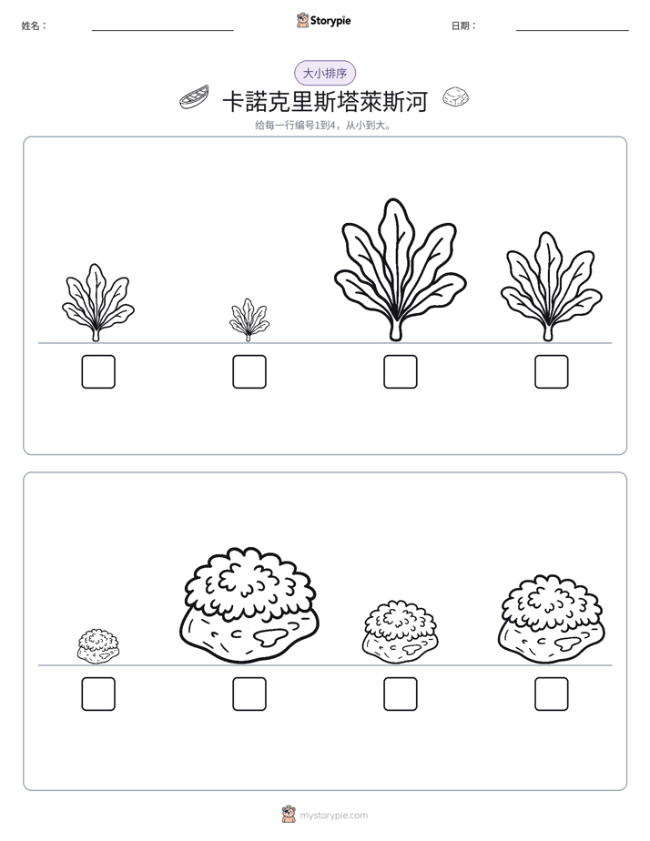 大小排序