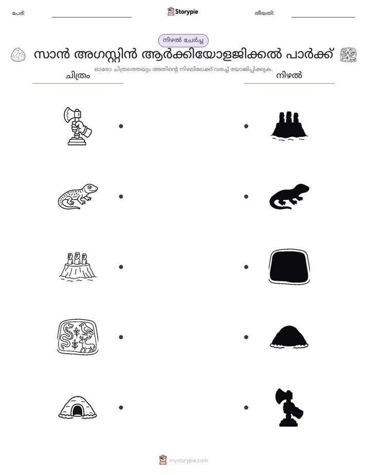 ഷാഡോ മാച്ച്