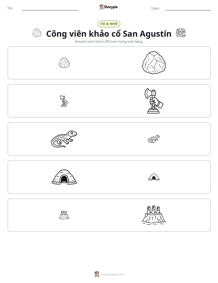 Phân Loại