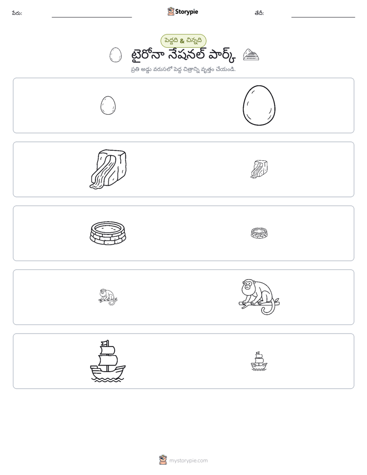వర్గీకరణ