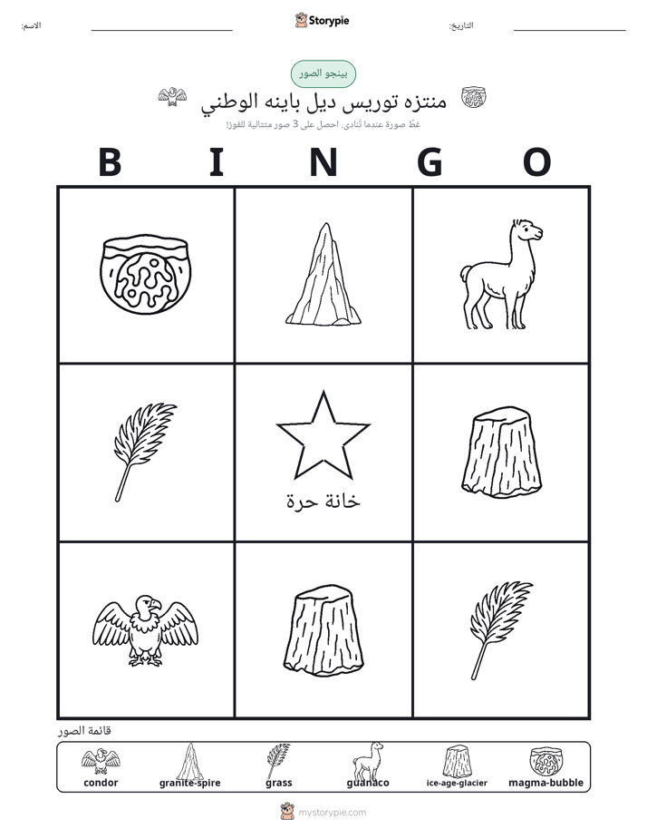 بينغو الصور