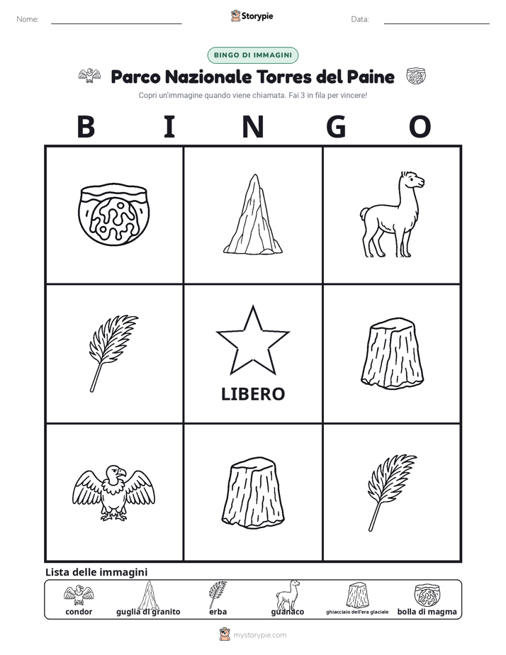 Bingo delle Immagini