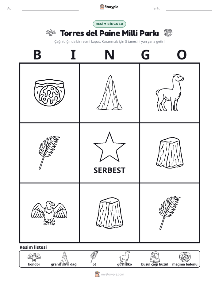 Resim Bingo