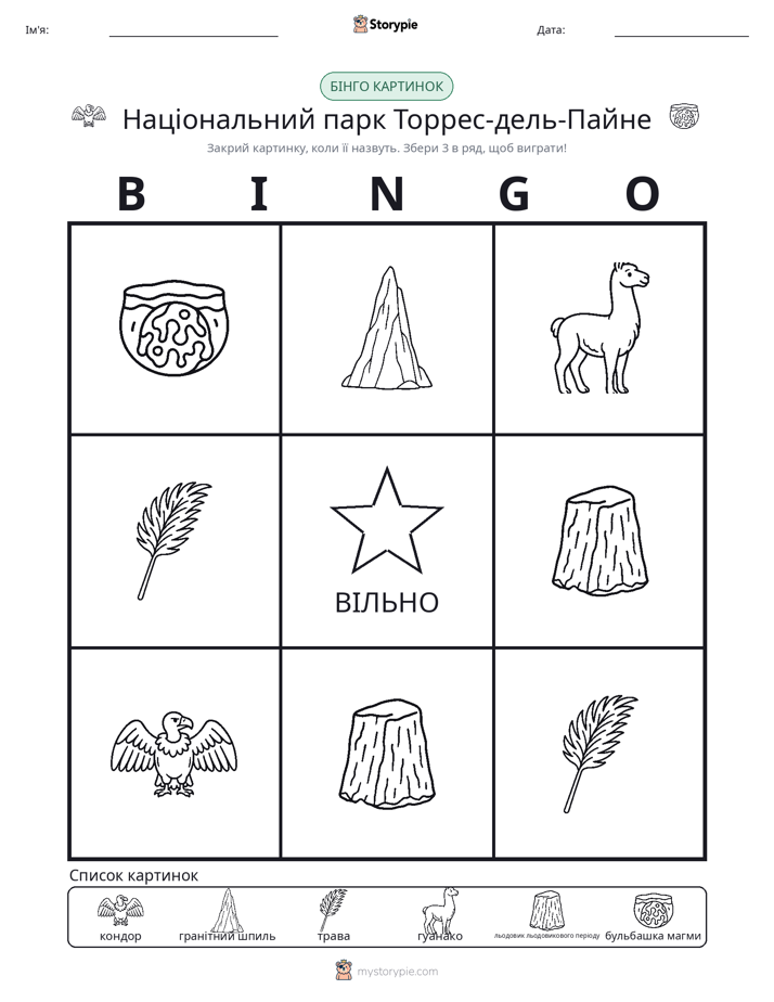 Бінго з Малюнками