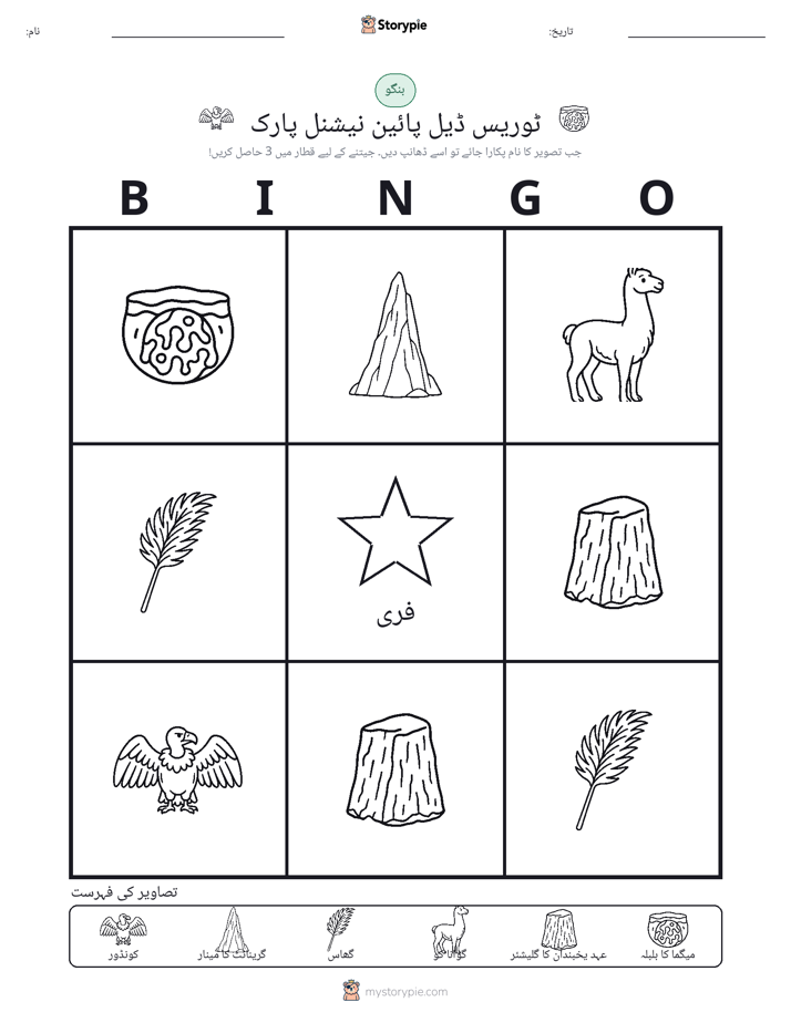 تصویری بنگو