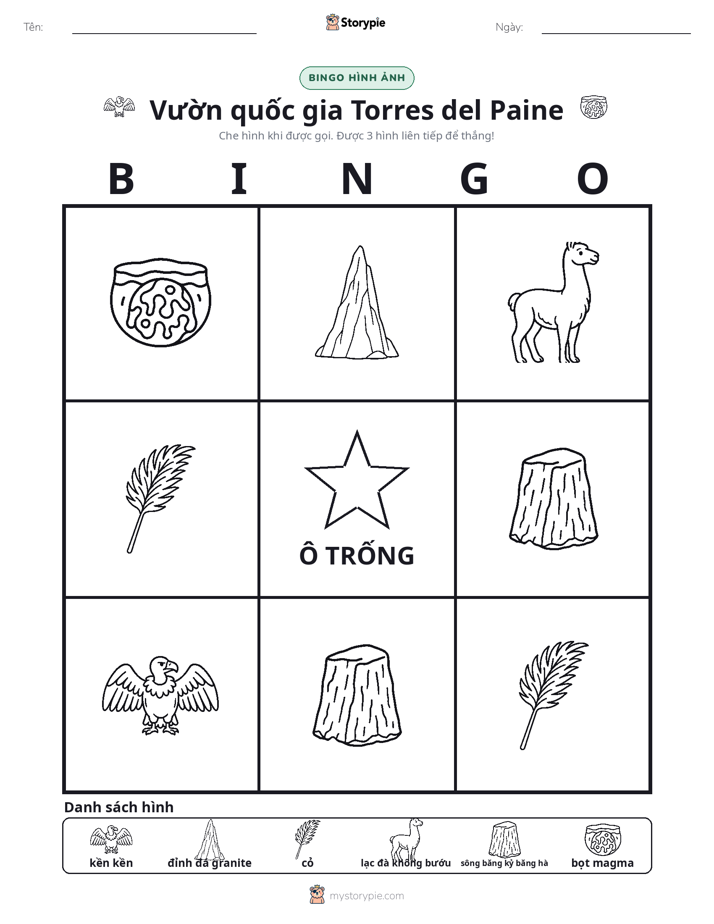Bingo Hình Ảnh