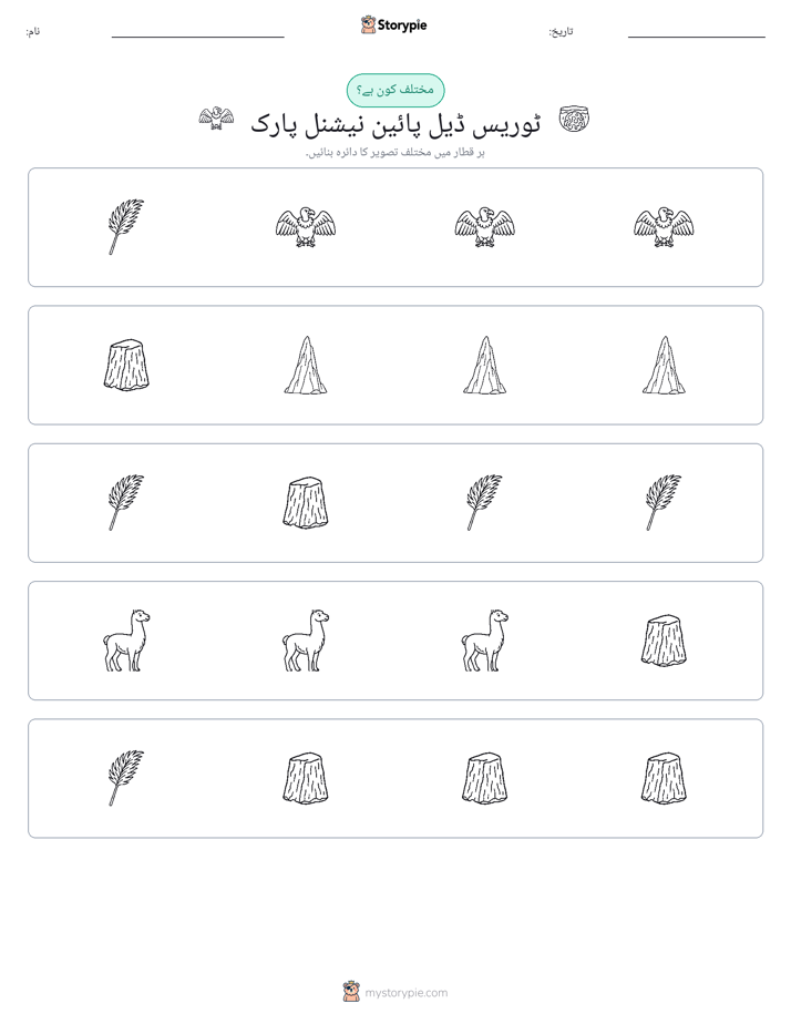 عجیب ایک