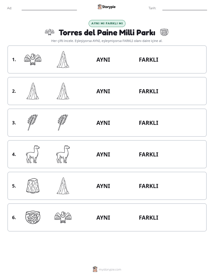 Aynı mı Farklı mı