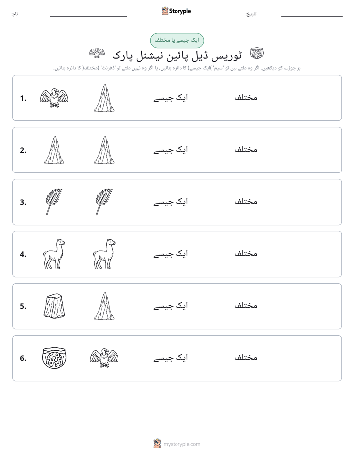 ایک جیسا یا مختلف