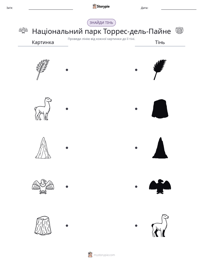 Тіньове Відповідність
