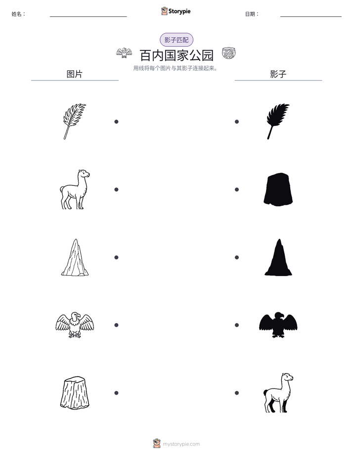 影子匹配