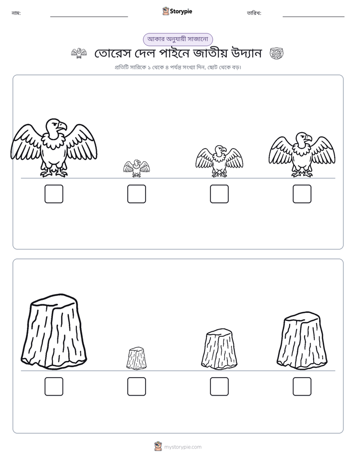 আকারের ক্রম