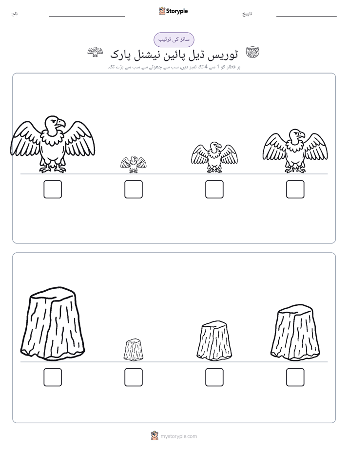 سائز کی ترتیب