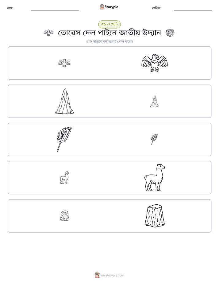 সাজানো