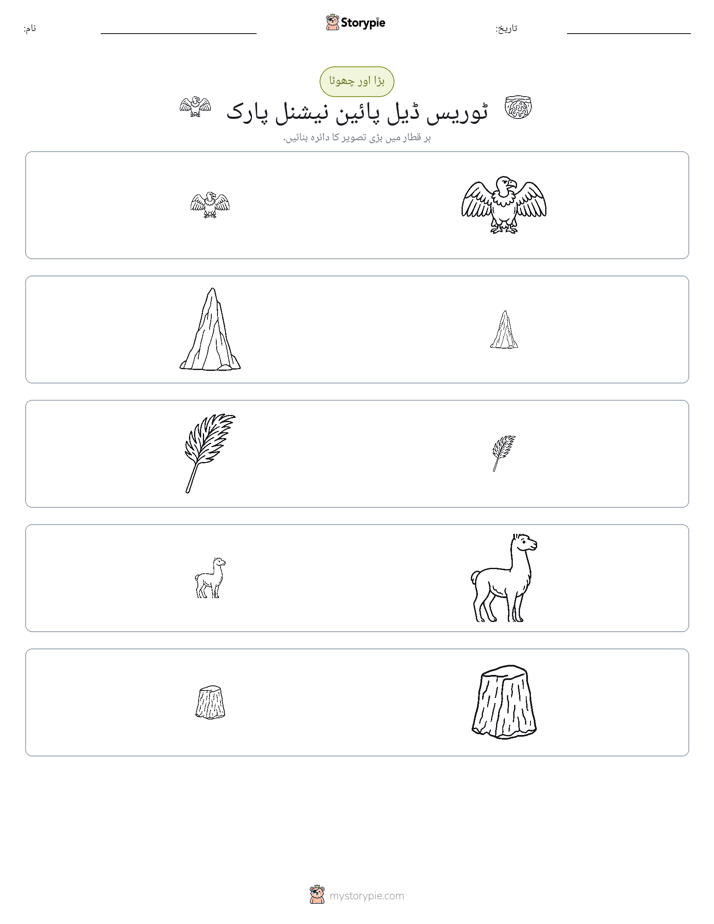 ترتیب دینا