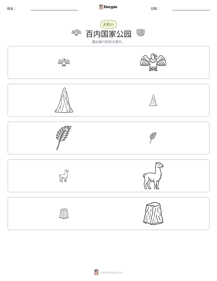 分类
