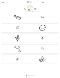 معاينة ورقة العمل القابلة للطباعة شيلوي