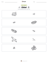 Chiloé printable worksheet preview