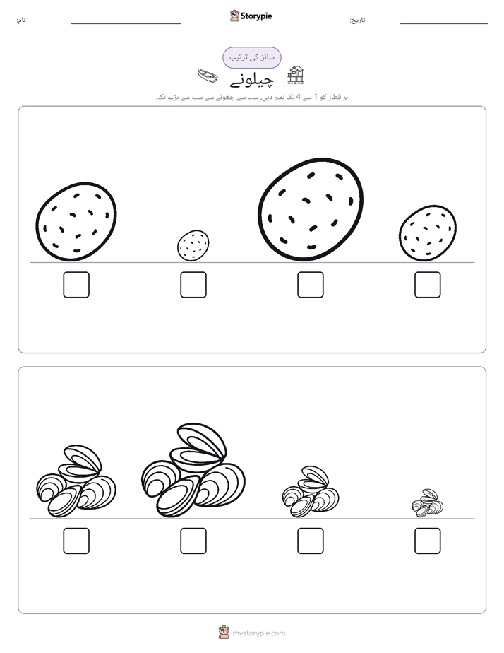 سائز کی ترتیب
