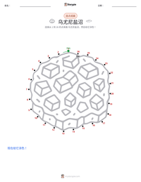 乌尤尼盐沼 可打印工作表预览
