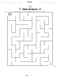Salar de Uyuni printable worksheet preview