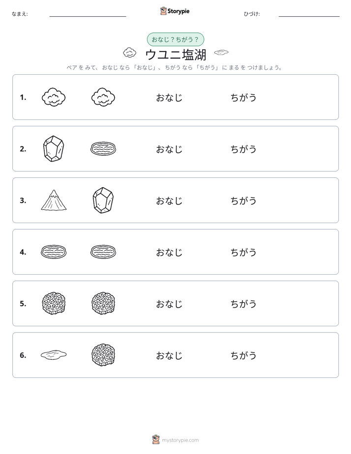 同じか違うか