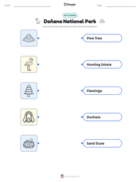 Doñana National Park printable worksheet preview