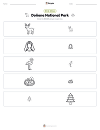 Doñana National Park printable worksheet preview