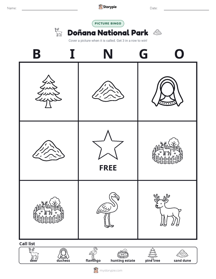 Picture Bingo