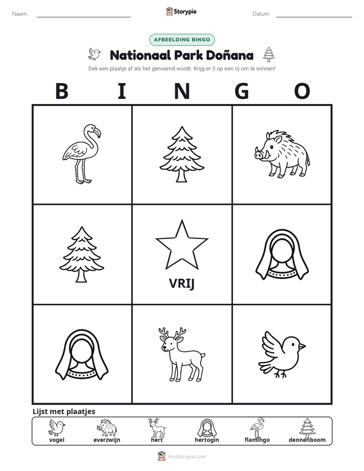 Afbeelding Bingo