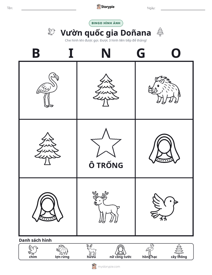 Bingo Hình Ảnh