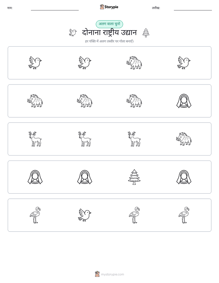 अजीब एक बाहर
