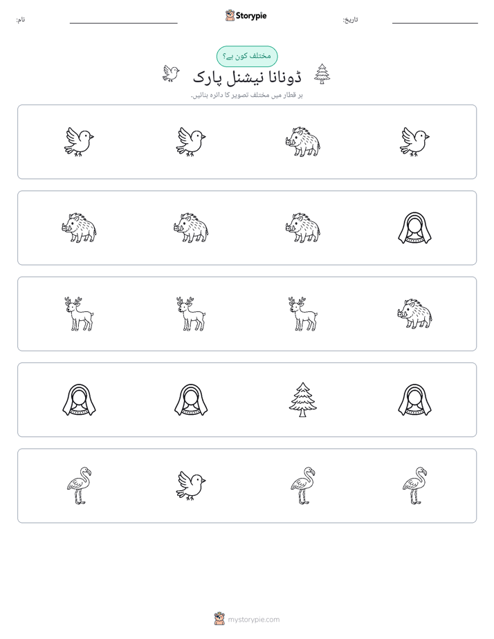 عجیب ایک