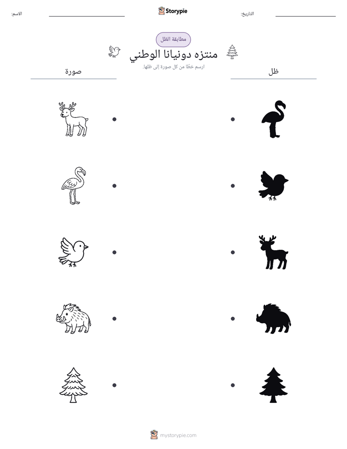 مطابقة الظل