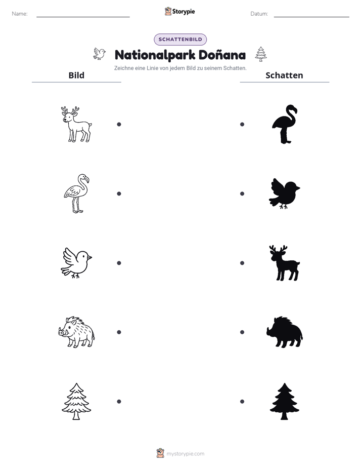 Schattenmatch