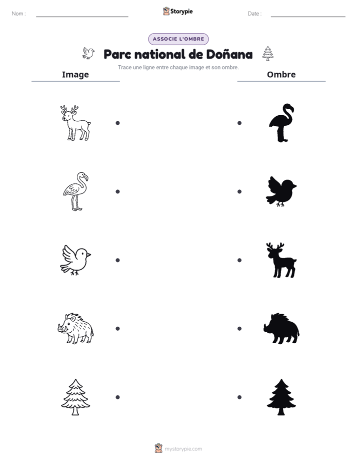 Correspondance d'Ombres