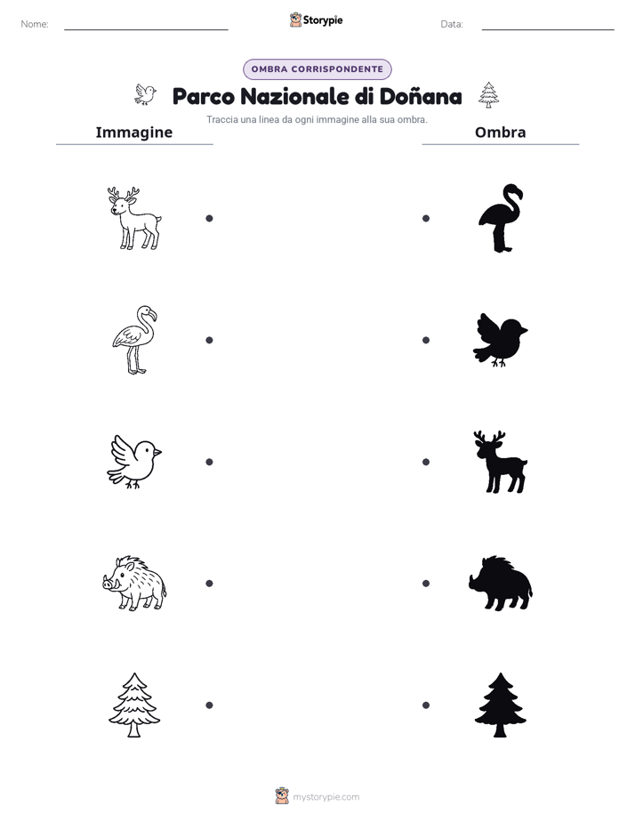 Corrispondenza Ombra