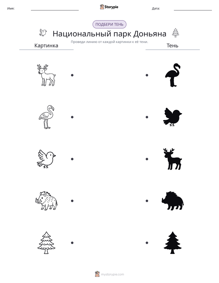 Сопоставление теней