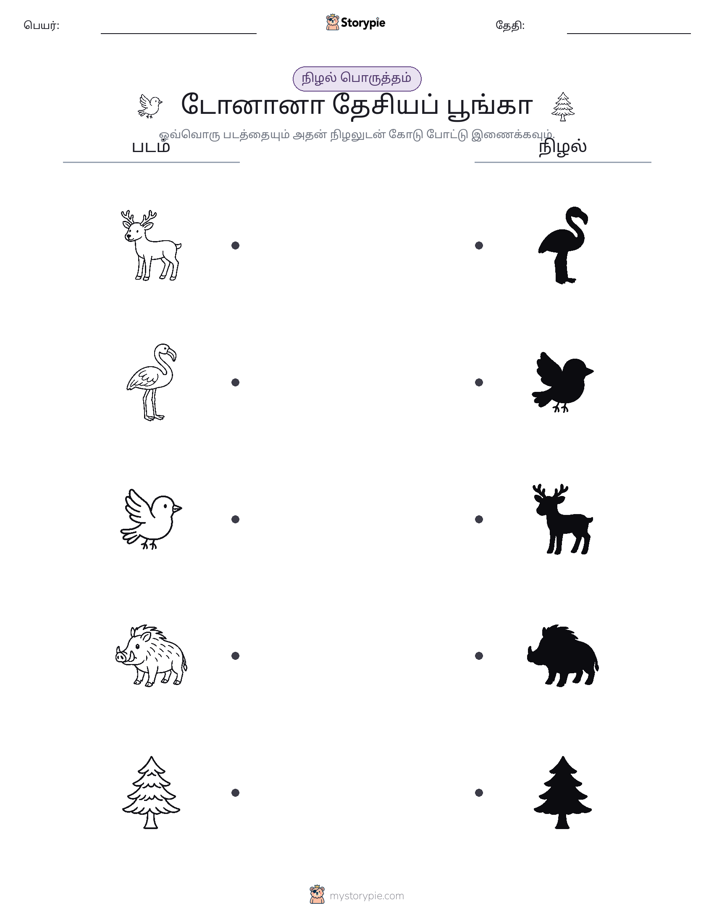 நிழல் பொருத்தம்